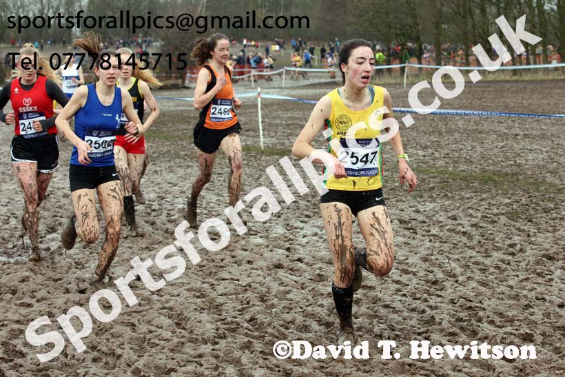 Womens under-20s 2018 British Inter Counties Cross Country Champs., Prestwold Hall, Loughborough. Photo: David T. Hewitson/Sports for All Pics